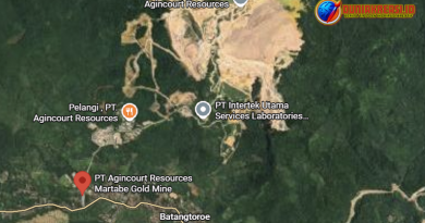 10 Negara dengan Deforestasi Terbesar di Dunia, Ada Indonesia